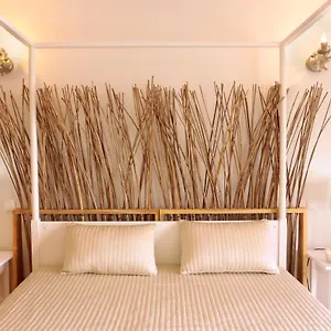 T2 Apartment